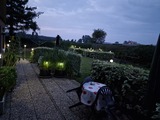 Ferienwohnung in Dahme - Gudrun - Bild 9