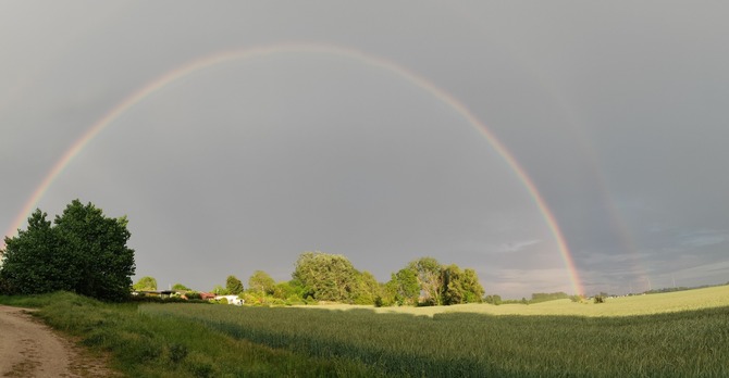 Ferienhaus in Teßmannsdorf - Ferienhaus Salzwiese - Freier Blick vom Haus aus