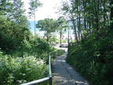 Ferienwohnung in Scharbeutz - Waldburg Ap. 10 - Treppenweg zum Strand