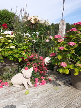 Ferienwohnung in L&uuml;tjenbrode - Residence Strandl&auml;ufer - Bild 18