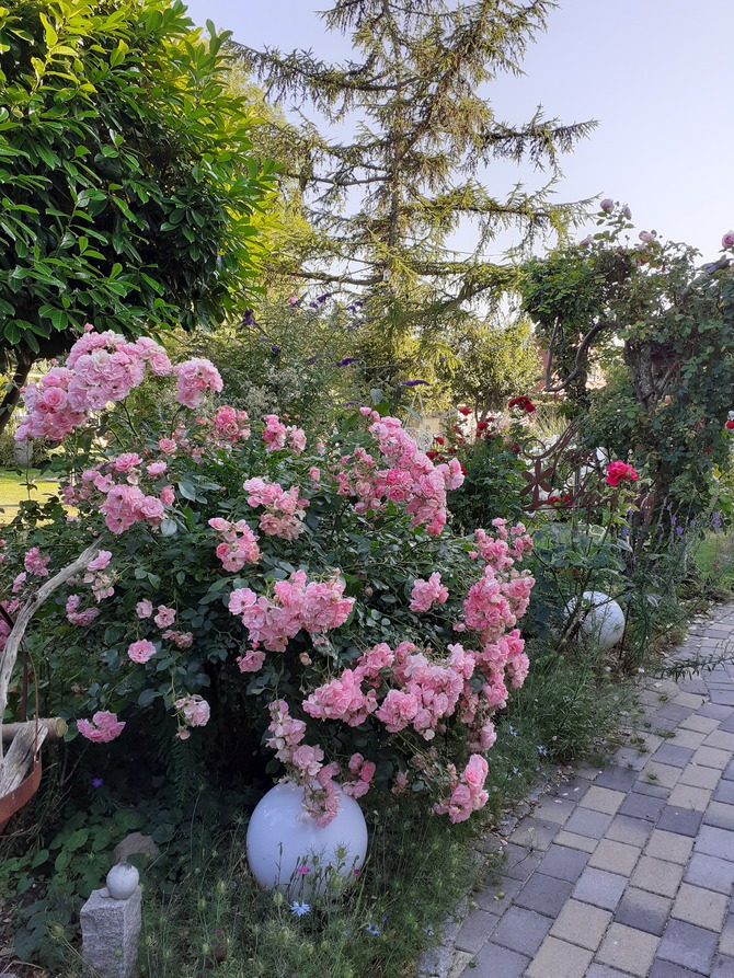 Ferienwohnung in L&uuml;tjenbrode - Residence Strandl&auml;ufer - Bild 20