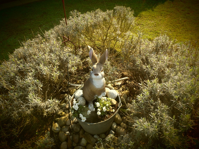 Ferienwohnung in Bliesdorf - Detlefs - Endlich Frühling!