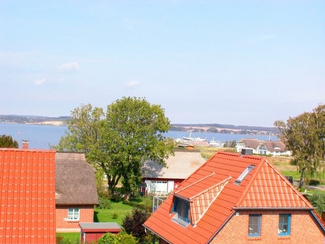 Ferienhaus in Gro&szlig; Zicker - Bel Monte - Bild 14