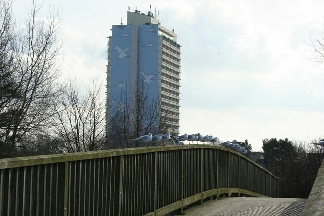 Ferienwohnung in Sch&ouml;nberg - Appartement K110 - Bild 13