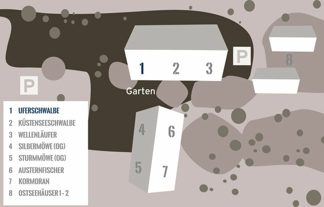 Ferienwohnung in Fehmarn OT Westermarkelsdorf - Uferschwalbe - Bild 22