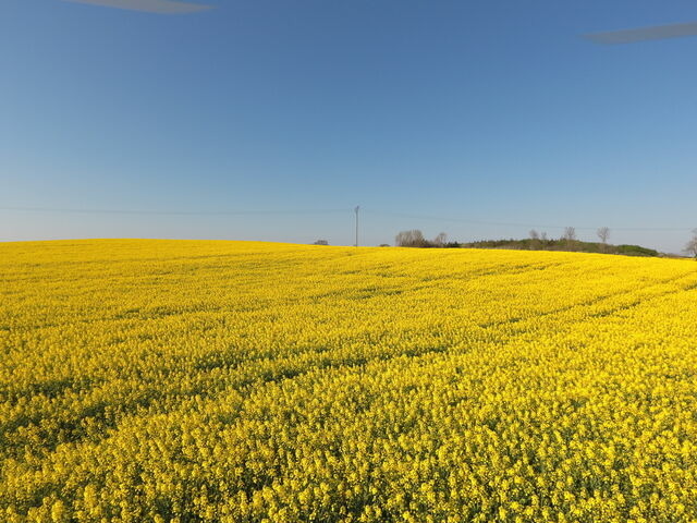 Ferienwohnung in Rabenkirchen-Faul&uuml;ck - Schleiblick App. 6 - Bild 11