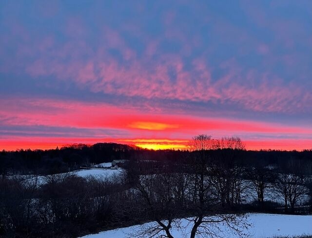 Ferienwohnung in Ascheffel - Wilsterberg FeWo "die Kleine" - Bild 17