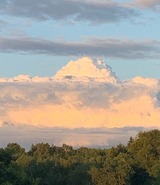 Ferienwohnung in Ascheffel - Wilsterberg FeWo "die Kleine" - Bild 16