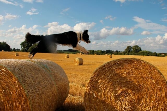 Ferienwohnung in Rieseby - 2-Zimmer Ferienwohnung "Zimmert" - Bild 13