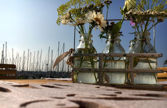 Ferienhaus in Heiligenhafen - Ostsee - Reetdachhaus Nr. 46 "Strandrausch" im Strand Resort - Bild 14