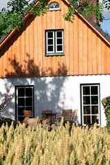 Ferienhaus in Fehmarn OT Todendorf - Gro&szlig;er Feldblick - Bild 3