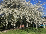 Ferienwohnung in Fehmarn OT Hinrichsdorf - Sonnenblume Nr.1 - Bild 15