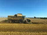 Ferienwohnung in Fehmarn OT Hinrichsdorf - Sonnenblume Nr.1 - Bild 21