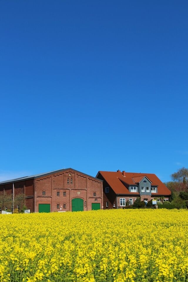 Ferienwohnung in Fehmarn OT Meeschendorf - Kleingarn - "Meeresblick" Nr. 13 - Bild 15