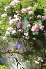 Ferienwohnung in Sch&ouml;nberg - Zaumseil, Axel: Fe-App. "unten" - Bild 13