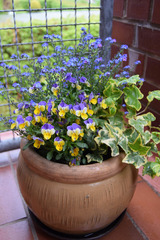 Ferienwohnung in Sch&ouml;nberger Strand - Venus, S. & H.: App. (Nr. 11) - Bild 9