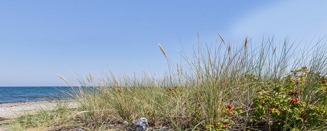 Bungalow in Fehmarn OT Staberdorf - Strandgut - Bungalow am Meer - Bild 14