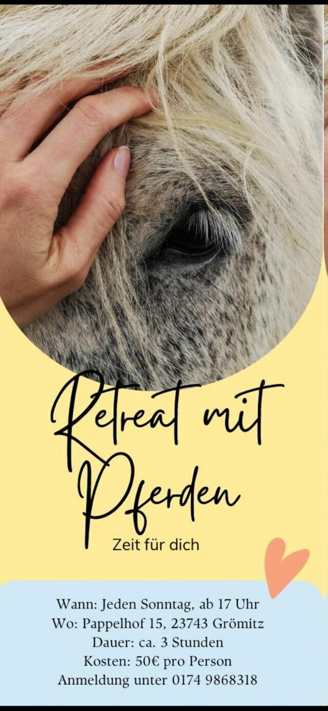 Ferienwohnung in Gr&ouml;mitz - "Pappelhof - Whg. 9" - Bild 24