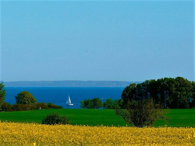 Ferienwohnung in Gr&ouml;mitz - Ferienhaus Marina II - Whg. 1 - Bild 21