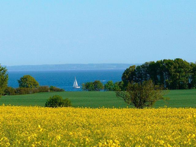 Ferienwohnung in Gr&ouml;mitz - Marina 9 - Bild 22