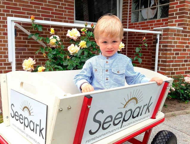 Ferienwohnung in Gr&ouml;mitz - Seepark - Sonnendeck - Bild 22