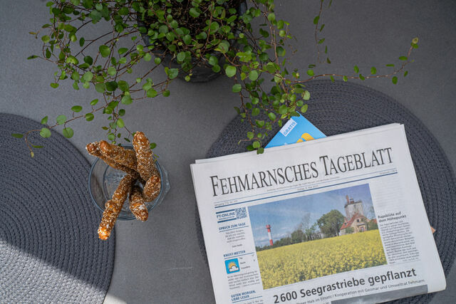 Ferienhaus in Fehmarn OT Burg - FeWo65810 - Bild 24