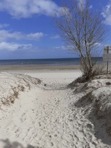 Ferienwohnung in Karlshagen - ferienwohnung köster - Bild 17