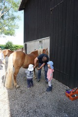 Ferienwohnung in Grube - Ferienhof Stoldt - Pony putzen vor dem Reiten