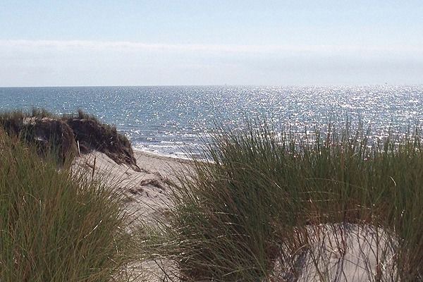 Ferienwohnung in Ostseeheilbad Zingst - Villa Vogelsang, FW 2 - Bild 13