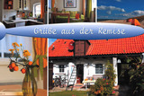 Ferienhaus in Zingst - REMISE - Bild 1