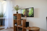 Ferienwohnung in Holm - Koops, App."M&ouml;wennest" (Nr. 8) - Bild 6