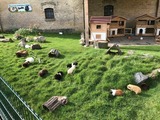 Ferienwohnung in Fehmarn OT Staberdorf - Landhaus 4, inkl. 1 Parkplatz - Bild 21