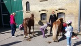 Ferienwohnung in Fehmarn OT Staberdorf - Bauernhaus 3 - Bild 14