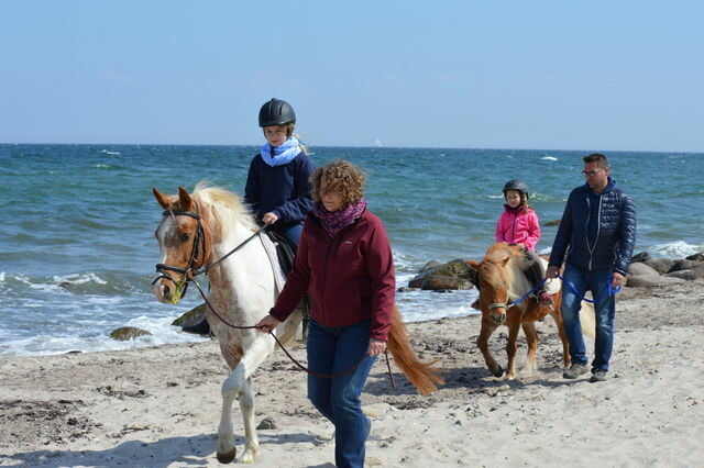 Ferienwohnung in Fehmarn OT Staberdorf - Speicher 2, inkl. 1 Parkplatz - Bild 9