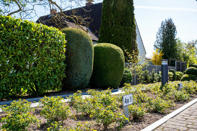 Ferienwohnung in Dahme - K&ouml;pp 3 - Bild 24
