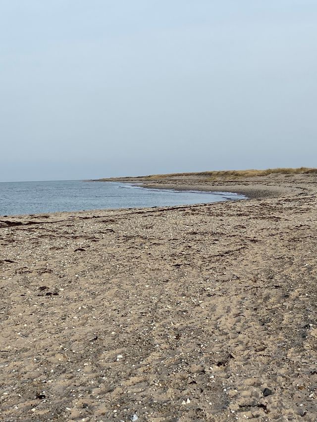 Ferienhaus in Fehmarn - Ferienhaus Strandliebe ( FH3) - Bild 14