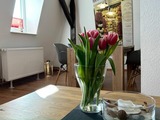 Ferienwohnung in Fehmarn - Ferienwohnung S&uuml;d - Bild 5