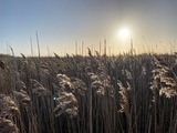 Ferienwohnung in Fehmarn - Ferienwohnung S&uuml;d - Bild 13