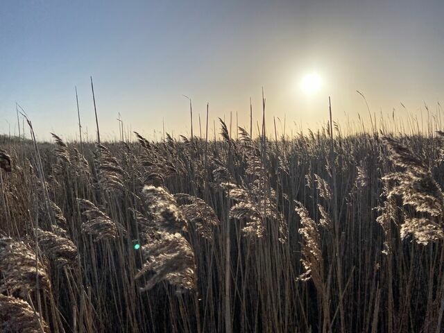 Ferienwohnung in Fehmarn - Ferienwohnung S&uuml;d - Bild 13