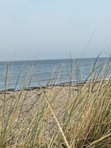 Ferienwohnung in Fehmarn - Ferienwohnung West - Bild 7