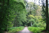 Ferienwohnung in Prerow - FeWo Leuchtturm - Heuser Prerow - Bild 15