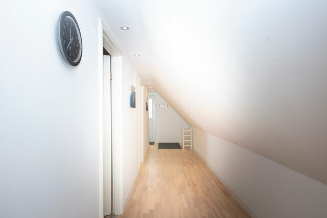 Ferienwohnung in Rabenkirchen-Faulück - Schleitraum Appartement - Bild 3