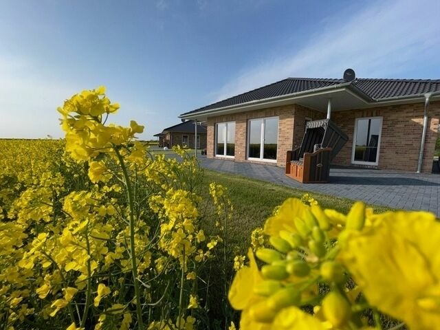 Ferienhaus in Fehmarn - Ferienhaus K&uuml;stenperle ( FH4) - Bild 18