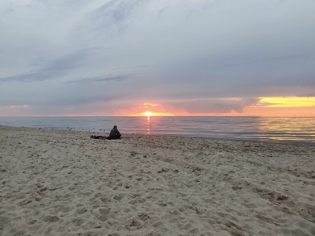 Ferienwohnung in Ribnitz-Damgarten - Ferienhof SchilfMeer - Fewo "Seepferdchen" - Bild 23