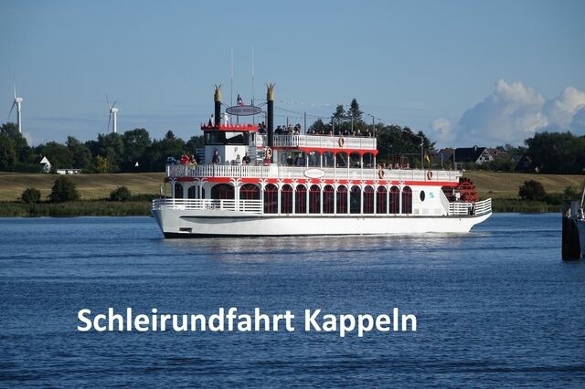 Ferienhaus in Kappeln - Schleibungalow Nr.15 zw. Ostsee und Schlei - Bild 16