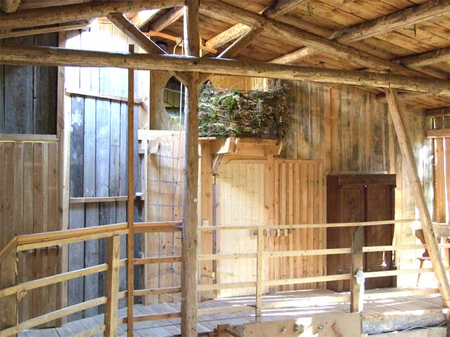 Ferienhaus in Carinerland - Scheune Landliebe in Holz und Lehm - Bild 3