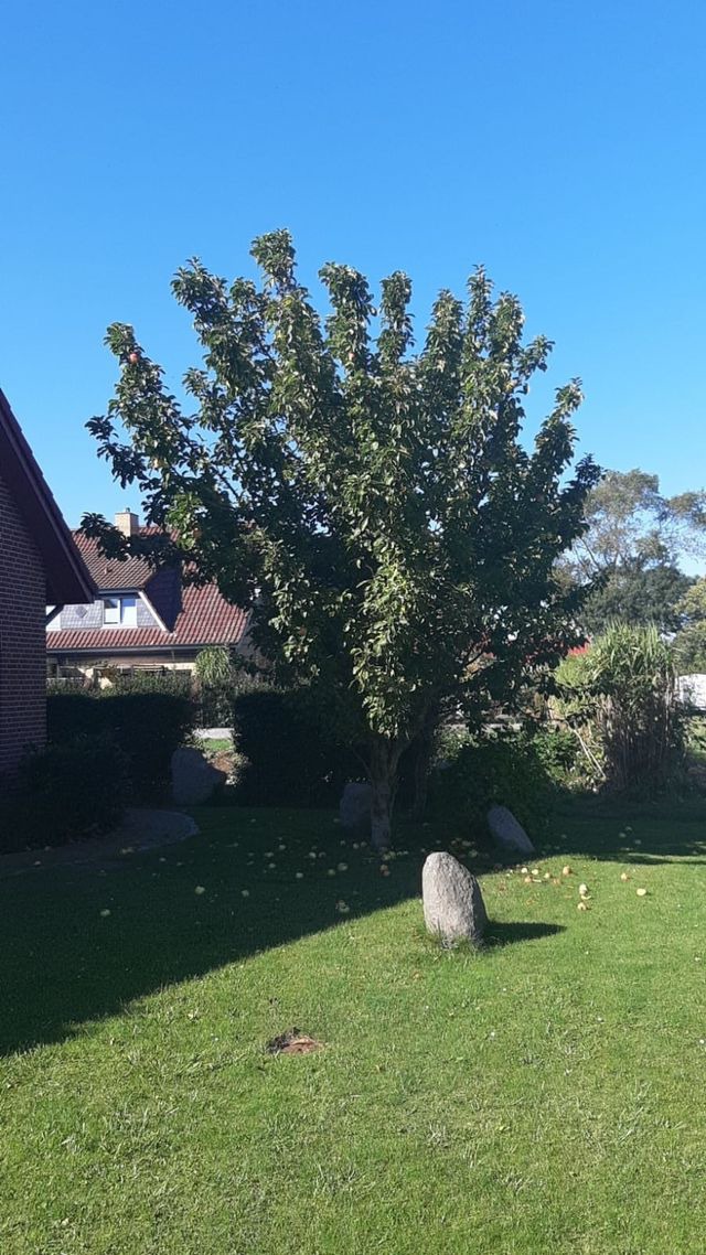 Ferienhaus in Fehmarn OT Bisdorf - Fehmarn-Ostseeferien/Haus Inselglück(160) - Bild 3