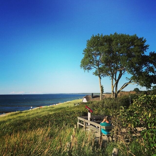 Ferienwohnung in Zingst - Strandl&auml;ufer App. 205 - Bild 19