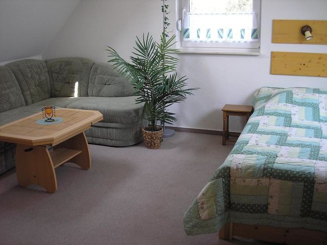 Ferienwohnung in Zingst - Ferienwohnung M&ouml;we - Bild 3