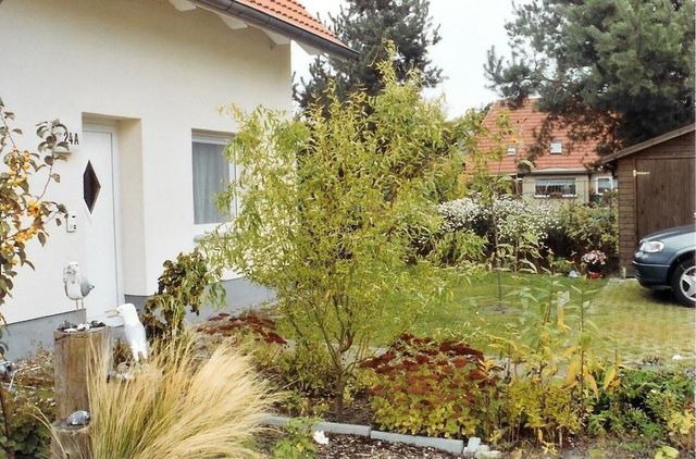 Ferienwohnung in Zingst - Ferienwohnung M&ouml;we - Bild 5